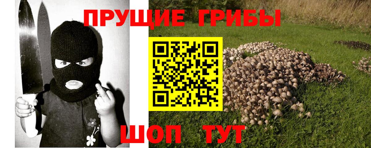 Псилоцибиновые грибы мухоморы Люберцы